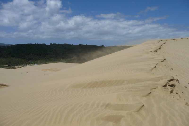 Nieuw-Zeeland 2011 - 0385